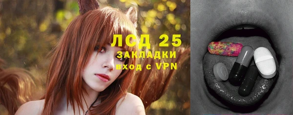 ГАЛЛЮЦИНОГЕННЫЕ ГРИБЫ Абаза