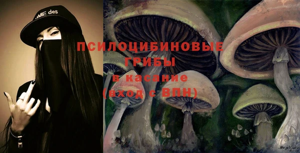 героин Алексин